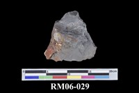 藏品(矽化頁岩)的圖片